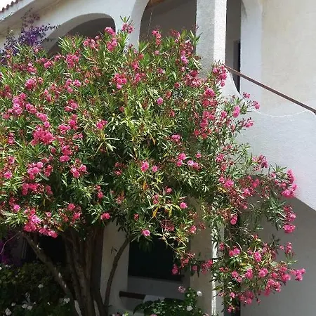 Apartment Casa Degli Oleandri Santa Caterina Di Pittinuri (Sardinia)