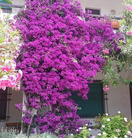 Casa Degli Oleandri